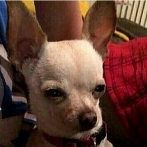 Meet your Posher, Gary